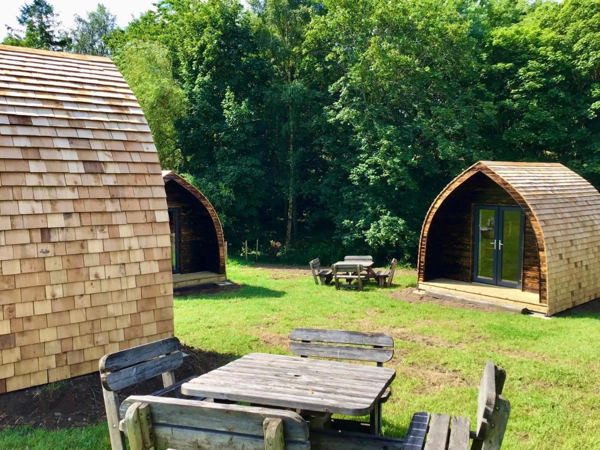 Готель Alder Pod, Clay Bank Huts Ingleby Greenhow Екстер'єр фото